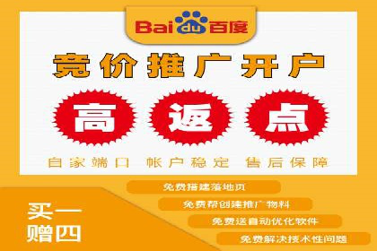 百度推广费用投入与品牌故事传播的案例分析